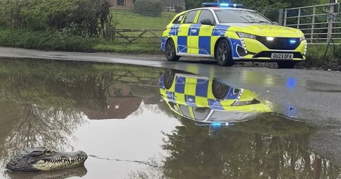 Police Sent To Report Of Crocodile In Village Floodwater