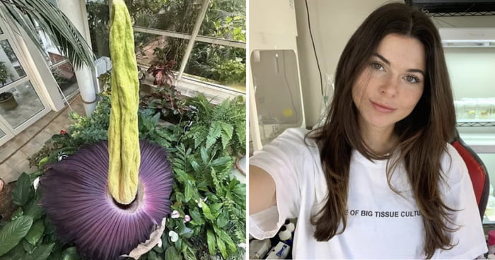 YouTuber Accidentally Crashes Rare Plant Market With Viral Cloning Technique