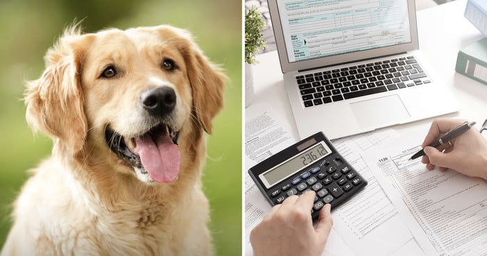 Woman Sues IRS To Get Pets Classified As Dependents & Eligible For Tax Deductions