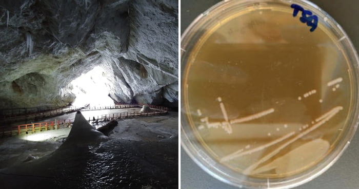 Antibiotic‑Resistant Bacteria Extracted By Researchers From Ancient Ice Cave