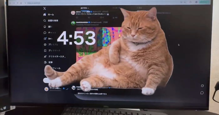 Viral Browser Extension Shows Giant Cat On Screen & Forces You To Take A Break