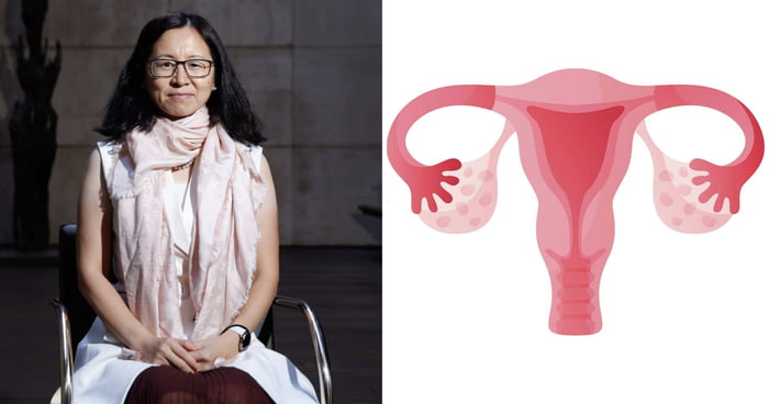 Biologist Seeks To Extend Women's Fertilty By Making Periods Occur Every 3 Months