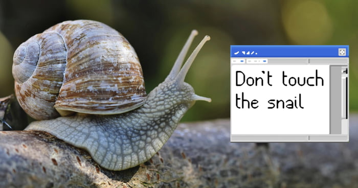 ‘Don’t Touch The Snail’ A Desktop Game That Can Only Be Played Once
