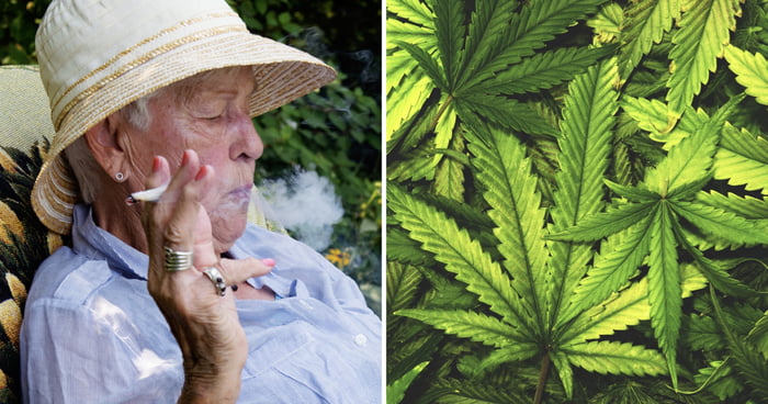 Cannabis Kiosk Designed For Seniors To Open At Retirement Community