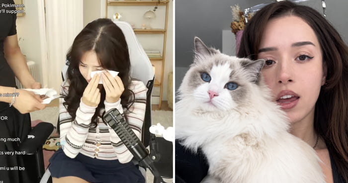 Pokimane Abruptly Ends Stream, Returns In Tears After Cat Jumped From Balcony And Died